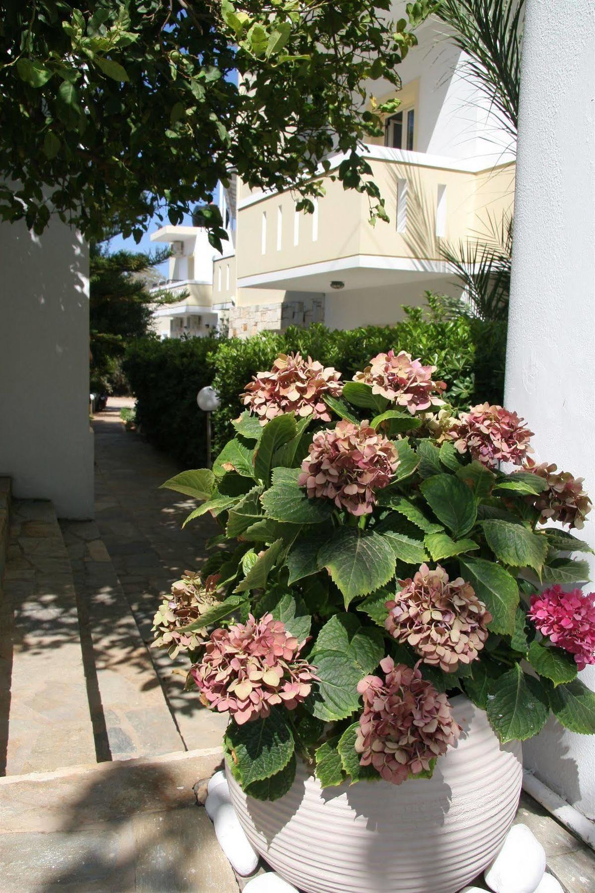 Nikos Aparthotel